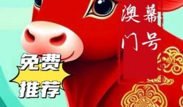 澳门最新爆料今天开奖,今日开奖结果揭晓！